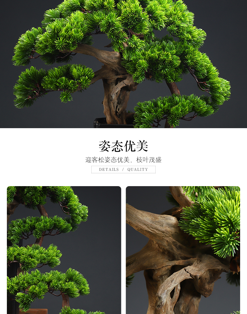 MaiTao retro simulation guest - the greeting pine bonsai home furnishing articles furnishing articles between sitting room porch soft outfit green plant example ceramics