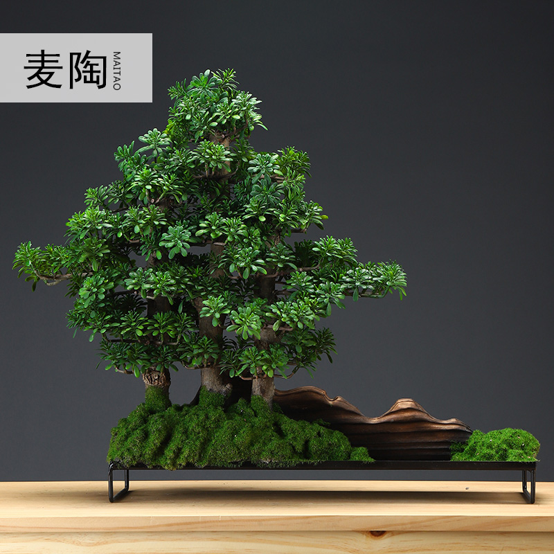 MaiTao creative home simulation guest - the greeting pine bonsai the plants desktop furnishing articles furnishing articles sitting room porch example room