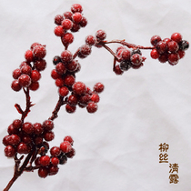 Simulation Berries Home Decoration Room Wall Shelve Decorations Hair Chaeze Festive Ornaments Phaw Bean Red Bean