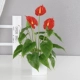 Hoa nhân tạo nụ hoa trang trí hoa giả hoa mô phỏng Wenjun phong lan đặt phòng khách phòng ăn bố trí vườn hoa - Hoa nhân tạo / Cây / Trái cây cây giả trang trí