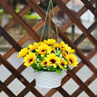 Маленький солнце цветок желтый+бассейн подвески