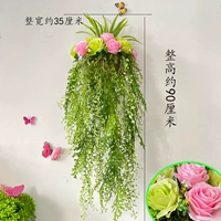 Нагото золотой колокол, розовая порошка зеленый полухрист