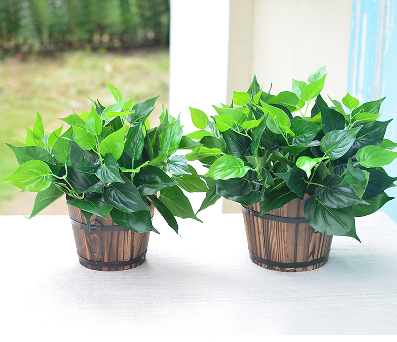 Cây mô phỏng cây giả cây xanh trang trí trong nhà và ngoài trời thùng gỗ chậu nhỏ củ cải xanh trồng trong chậu hoa và cây nhân tạo - Hoa nhân tạo / Cây / Trái cây hoa mộc lan giả