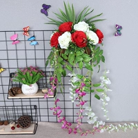 Нагото роза красная и белая стена висит