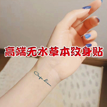 Waterless Herbal Tattoo Sticker English Carpe Diem Lasts 2 Weeks Tattoo Sticker Tattoo Sticker Juice Sticker Long Lasting