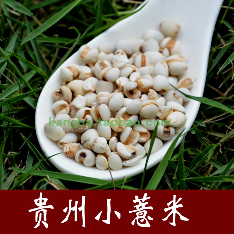 Guizhou small pearl barley pearl barley pearl barley corn coix seed rice complete 250 gr to grind new goods