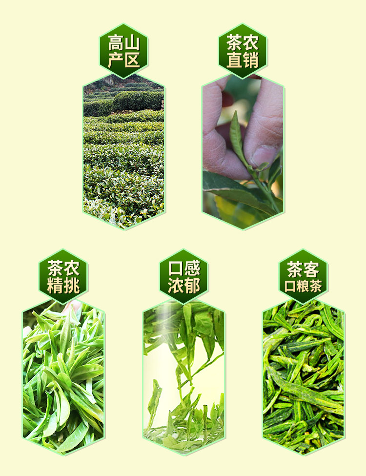 【杭源】新茶西湖龙井茶叶绿茶1斤装