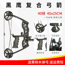 Small small car composite bow Mini indoor home outdoor sports Triangle metal composite bow Arrow pulley bow
