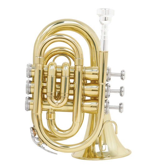 Плоская ладонная труба B, латунная карманная труба, корнет, микротруба, экзамен для начинающих, западный духовой инструмент, труба