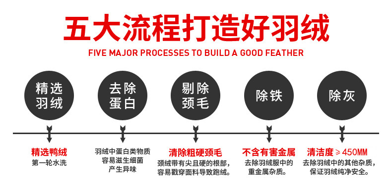 Blouson homme PIONEER CAMP  ROADER - Ref 3119767 Image 16