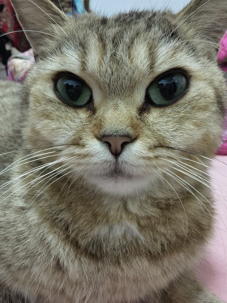 AA木藕手工