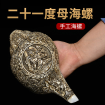 Sea Snail Nepal Hand polished engraving 21 degrees Mother Tibetan Buddhism Mio for a sea snail