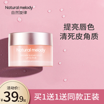  Natural Melody Lip Scrub Lightens lip lines and lip color exfoliates dead skin care moisturizes moisturizes and hydrates lip mask