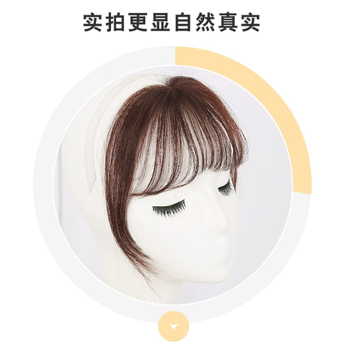 Пальма y 鹾        捋 踬 踬      Челка