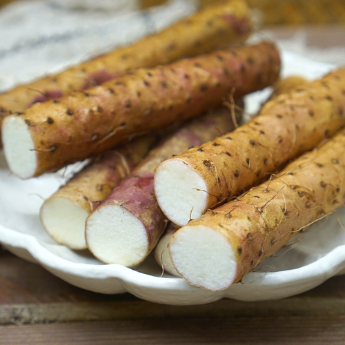 聚怀斋 Jiaozuo Wenxian Shatu Iron Stick Yam 3KG Красная подарочная коробка наполнена свежим лекарством Huai Yam