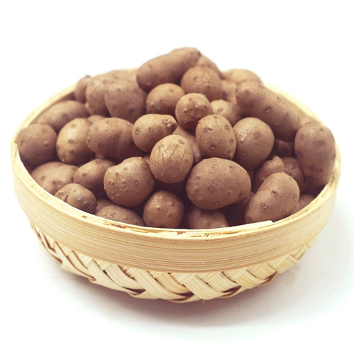 聚怀斋 Jiaozuo Wenxian Iron Stick Yam 2500G Fresh Yama Yamoasan Yamoyu Bean