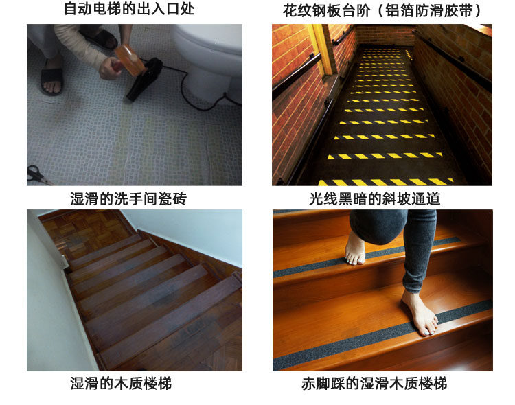 Pet Luminous Series-750-2020 04.jpg