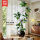 Rubber tree simulated green plant high-end light luxury living room ornaments large indoor floor-standing bionic potted fake plant decoration