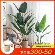 Nordic simulation green planting potted plant building scenery indoor large simulation tree Tiantang bird brigade Banana Fake Green Plant decoration