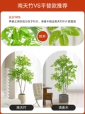 豢鐪 逛 绔 熺 熺 熺 熺 熺 嶉 绔   濂 鍐呭  铡呰    鎽嗕 鎽嗕 澶 y 敓 鑺 鑺 鑺 Big