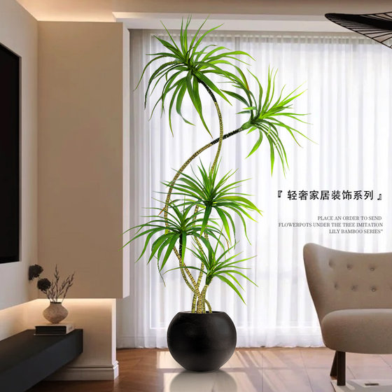 Light luxury living room decoration dragon blood tree large potted plant