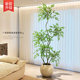 Nandina bamboo simulated green plants high-end light luxury indoor living room TV cabinet floor-standing ornaments bionic plant potted fake trees