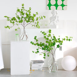 Artificial Horsewood Green Plant, Japanese Bellflower Plant, Fake Flower, Artificial Flower Decoration, Living Room Dining Table Decoration, Flower Bouquet Ornament