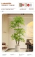 2.2 Верхние 5 голов [модель высокого качества] Отправить бассейн PP <2 Выберите 1>