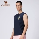 J0S206103, тибетский синий