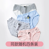 [CAT MODEL] та же самая случайная установка из четырех -цепов (эта модель невелика)