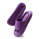2207-Purple