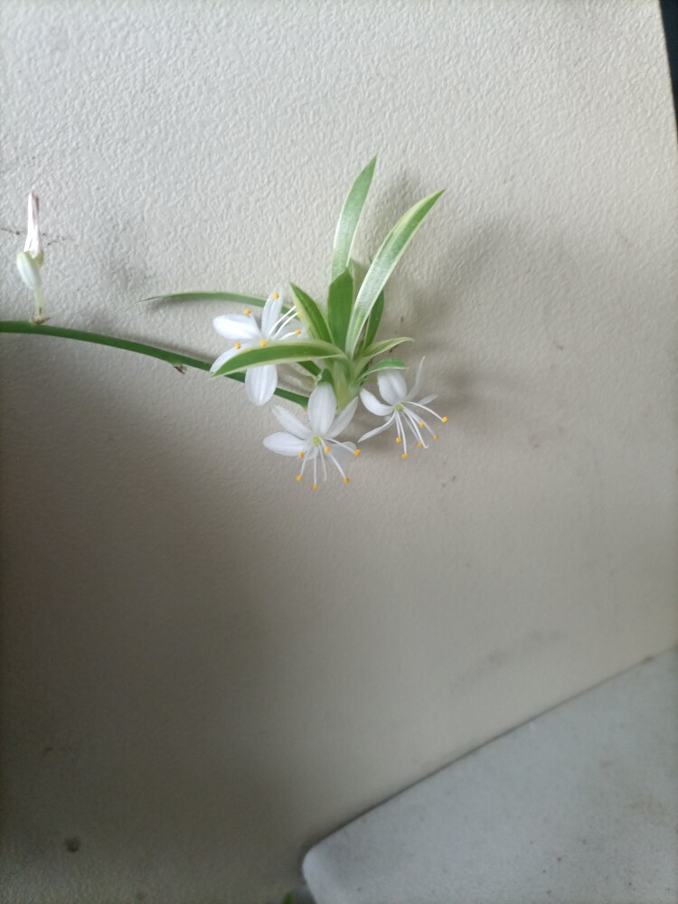 若凡蒂诺设计体验店