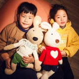 Кукла, плюшевый кролик, маленькая игрушка