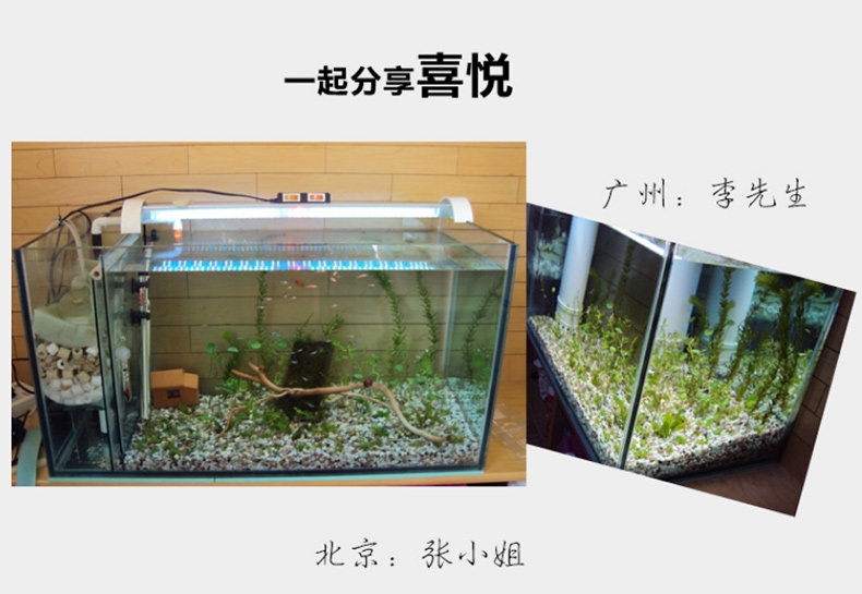 Клей аквариумов в соответствии с объяснением подробностей_02.jpg