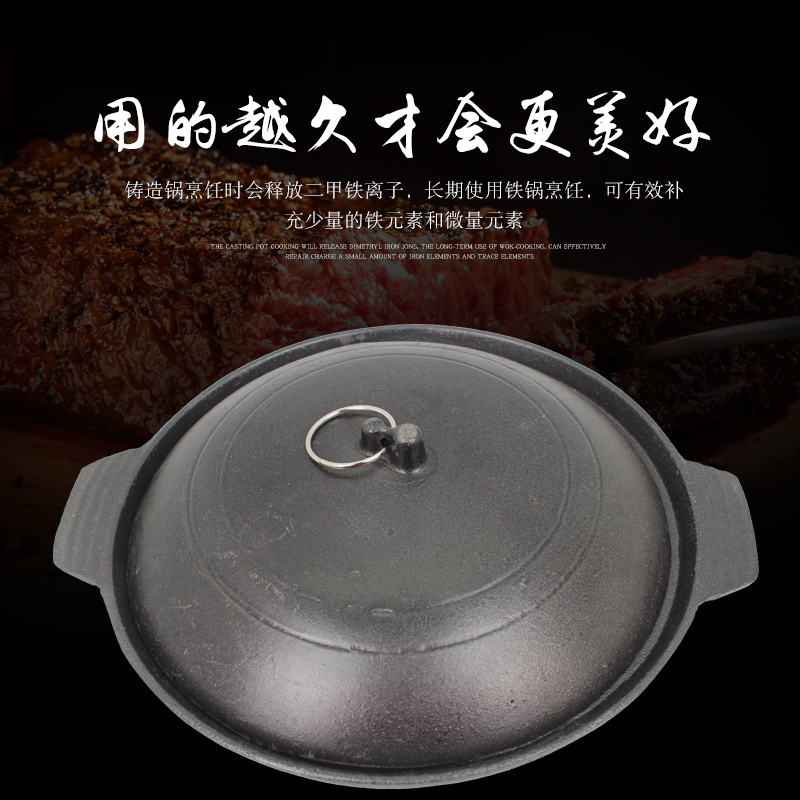 19 19 21 cast iron fern iron saucepan iron saucepan rice casserole rice casserole pan casserole pan casserole pan casserole pot casserole