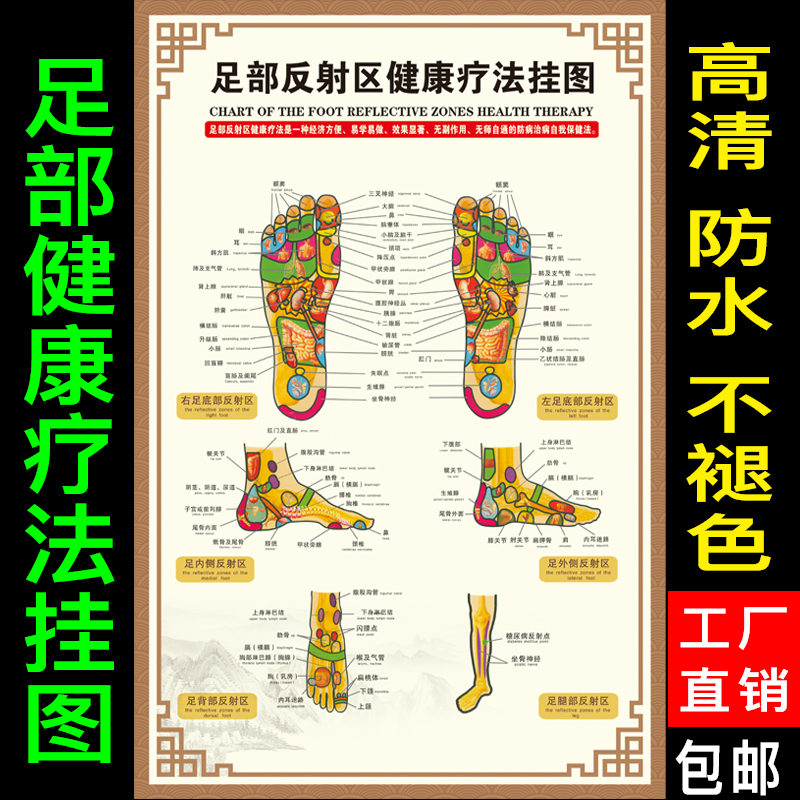 Foot Health Chart