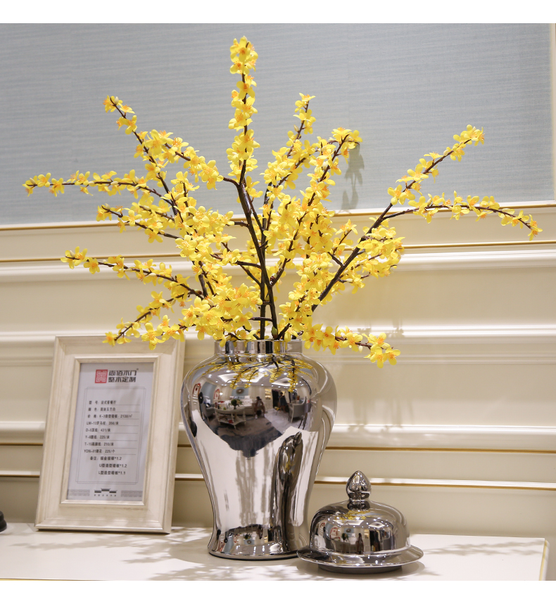 The General light European - style key-2 luxury furnishing articles contracted tank vase ceramic piggy bank caddy fixings candy jar decoration decoration