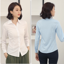 Spring Money White Shirt Woman New Beating Bottom Big Code Long Sleeve Professional Dress Positive Clothes Workout Fit Inside Lap Top Lap