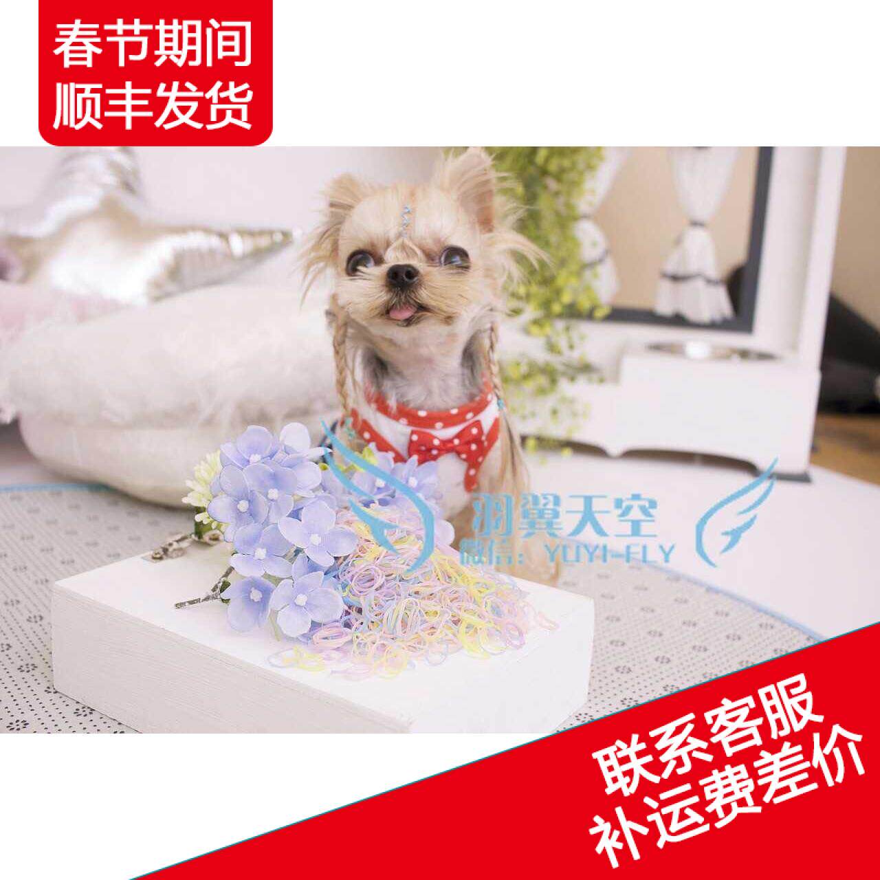 All imported pet crystal rubber band hair rope small fresh Mori female transparent wild jewelry pet supplies discount