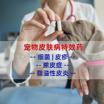 Wing Sky skin disease oral special effect method bullfighting starlet kagor KJI fighting seborrheic dermatitis pyoderma a tablet