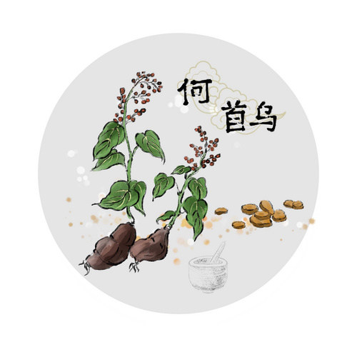 浙江叮咚药坊的LOGO