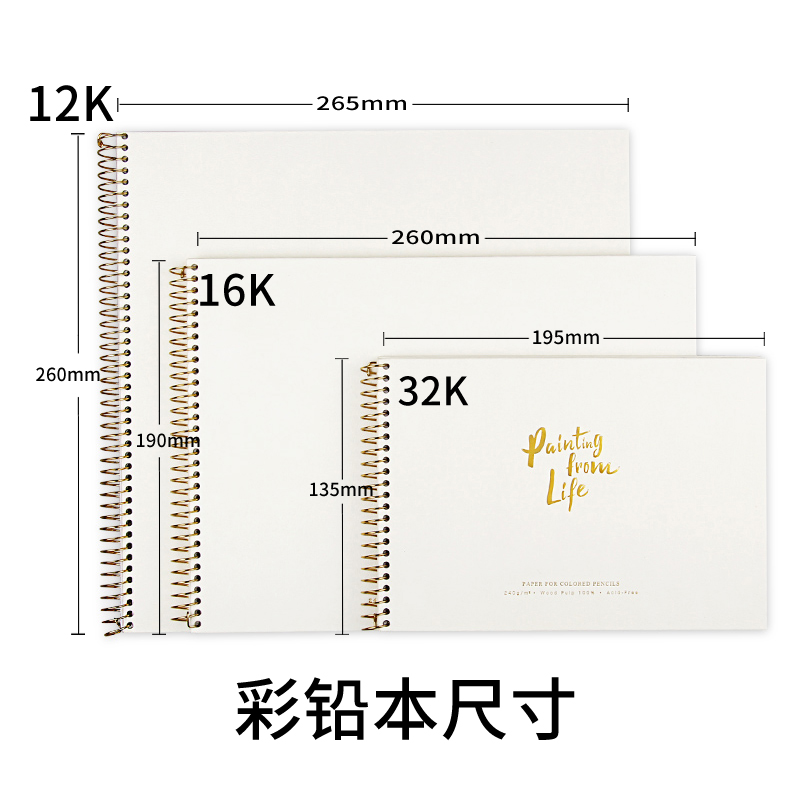 Flying bird color lead paper oil painting book Water-soluble book 8K color pencil drawing special book professional hand-drawn sketch