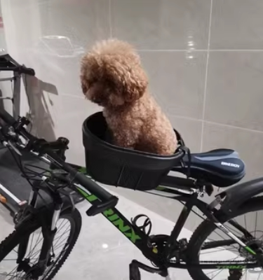 Mountain bike pet basket road bike with dog basket