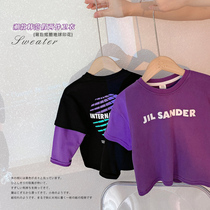 Childrens cotton fake two-piece long sleeve T-shirt 2021 autumn new small children Korean version Joker sweater baby childrens clothing
