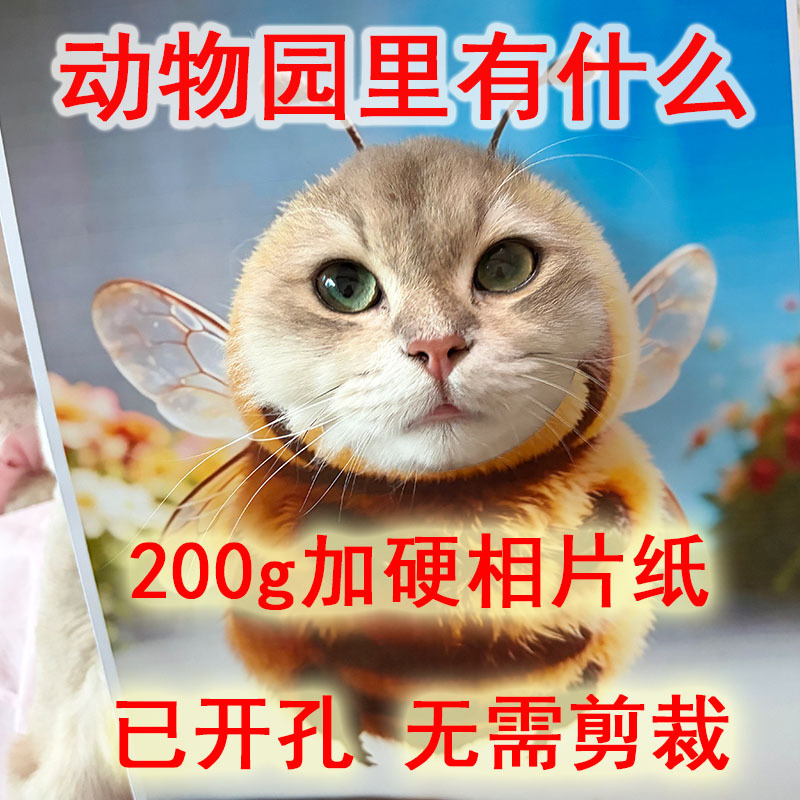 What Kind of Pets Are There in the Zoo? Photo Headgear, Cat Cosplay Props, Cut-Out Cardboard Pictures, Photo Props What Kind of Pets Are There in the Zoo? Photo Headgear, Cat Cosplay Props, Cut-Out Cardboard Pictures, Photo Props