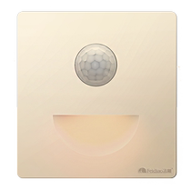 Flying carving switch socket large board carved gold human body induction concealed 86 full screen borderless wall switch steel bracket