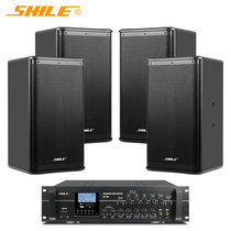 SHILE AV106 BX110 small and medium-sized 10-inch conference room wall-mounted audio combination set