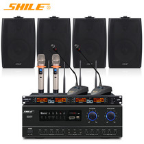 Lion OK555C BG-6 SH28 small and medium-sized conference sound system 6 5-inch microphone set combination