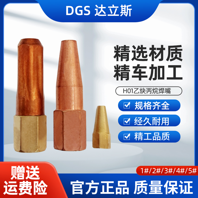 Welding nozzle welding torch welding torch nozzle H01-2 meFlower type welding gun head 2L liters for portable welding gas liquid gas welding