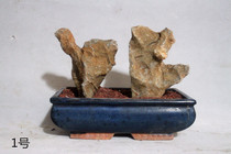 Lingbi stone wool stone Natural Lingbi stone New trainer stone Lingbi stone Pictogram stone Small pair of stones 40 yuan a group